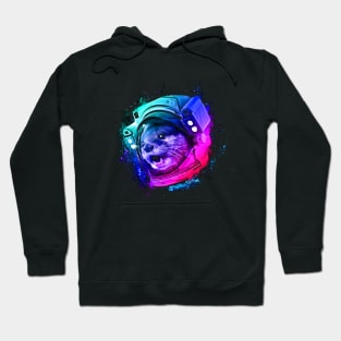 Otter Space Hoodie